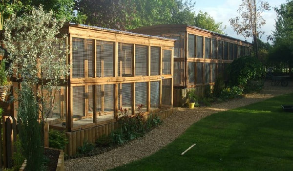 cattery and cat pens in devon